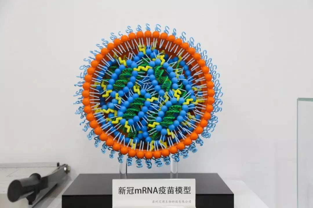 艾博生物：致力于新冠mRNA疫苗，创国内Biotech之最