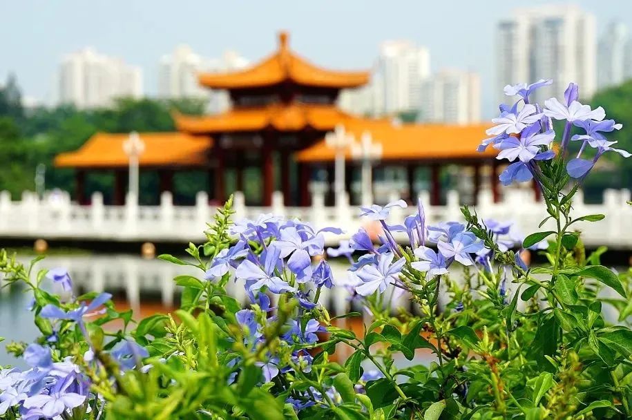 深圳2天1夜旅行攻略,深圳沙头角一日游详细攻略