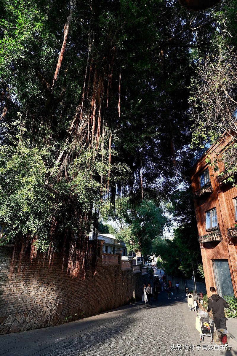 福州最新玩法,福州市区游玩攻略