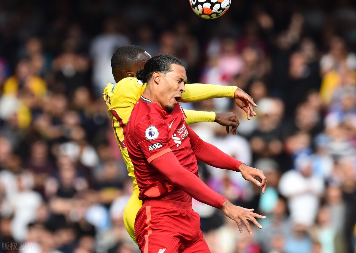 荷兰队长范戴克,荷兰队范戴克简介