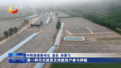 「稳经济促发展·县市区长访谈」中阳：下好政策“先手棋”激发经济新动能