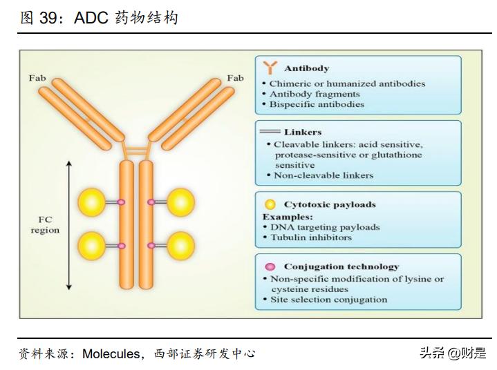 恒瑞医药研究报告：拐点将至，创新引领，布局海外，转型再出发
