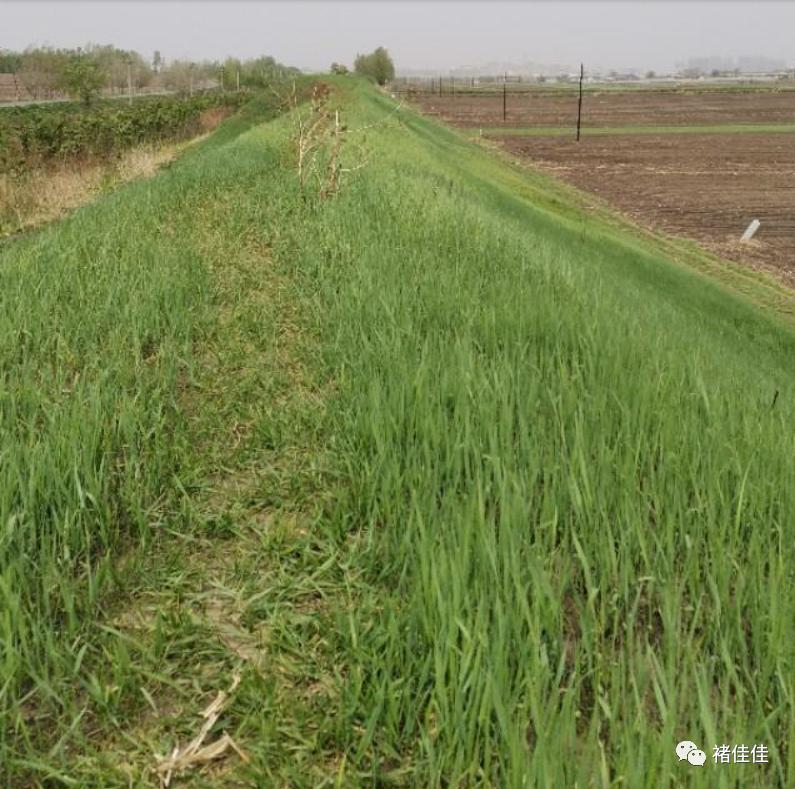 宋朝金元城,宋朝都城长安城