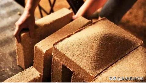 种高粱的利润有多少,高粱酿酒100斤高粱出多少酒