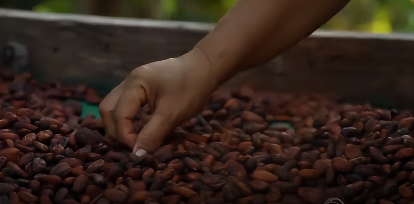 鏂拌タ鍏板阀鍏嬪姏姒涘瓙鑰冩媺,鏂拌タ鍏板阀鍏嬪姏缁胯壊澶瑰績