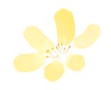 杭州文旅度假酒店规划,耗资15亿打造富春江畔地标酒店