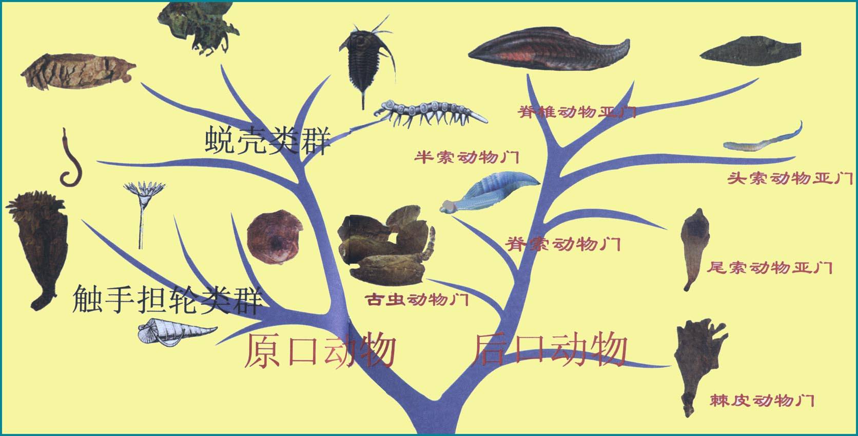 假设世界没有人类会怎么样,假设没有太阳和月亮地球会怎么样