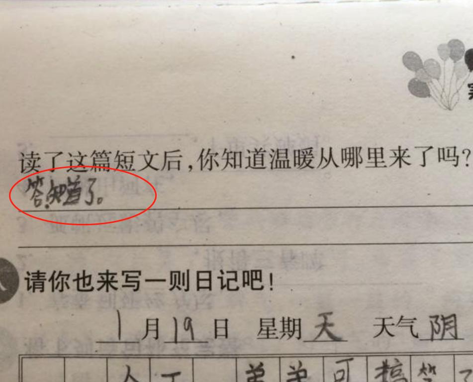 小学生0分试卷走红阅卷老师,小学生考了零分却得奖励