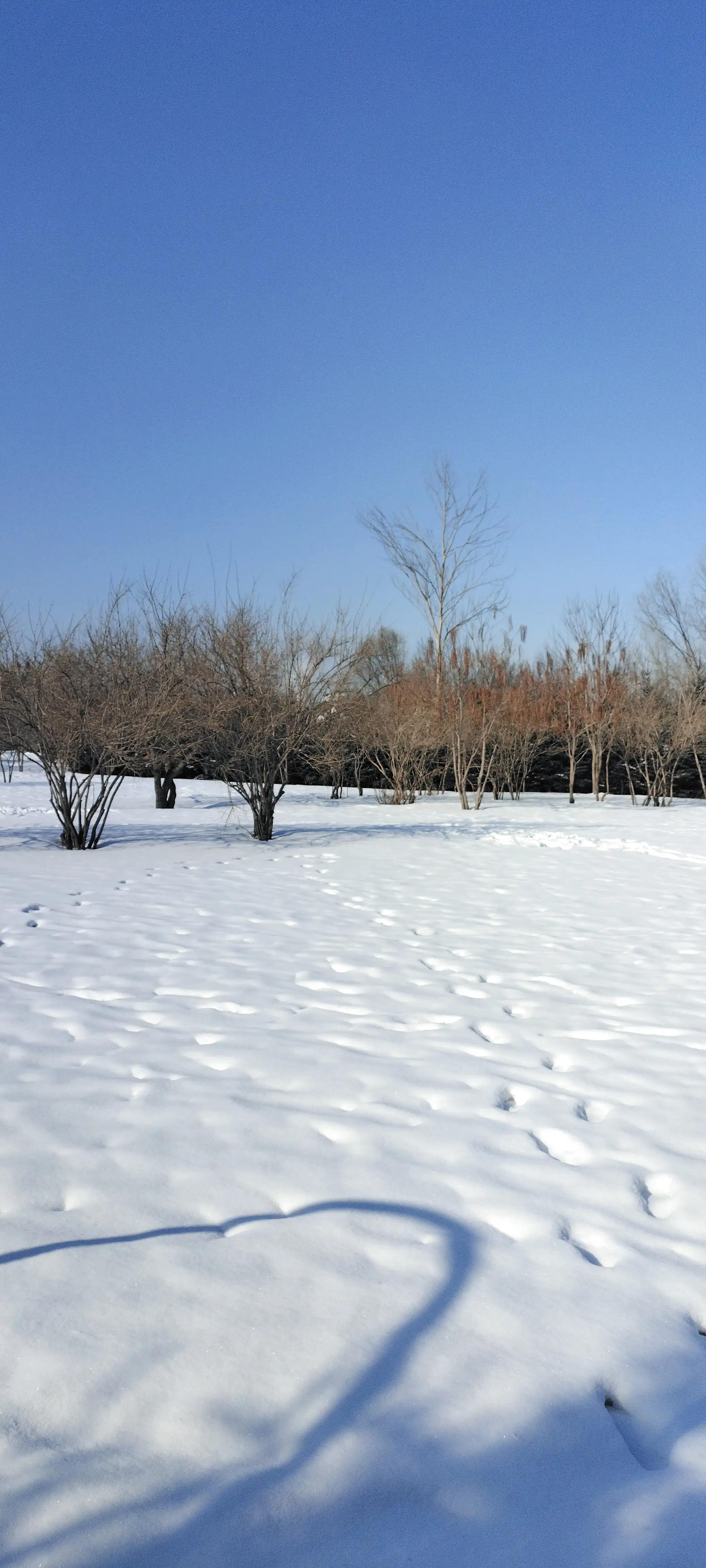春天里的雪感悟,春天里的雪音乐完整版