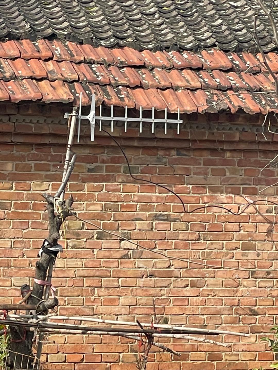 董董骑行山东,懂懂骑山东