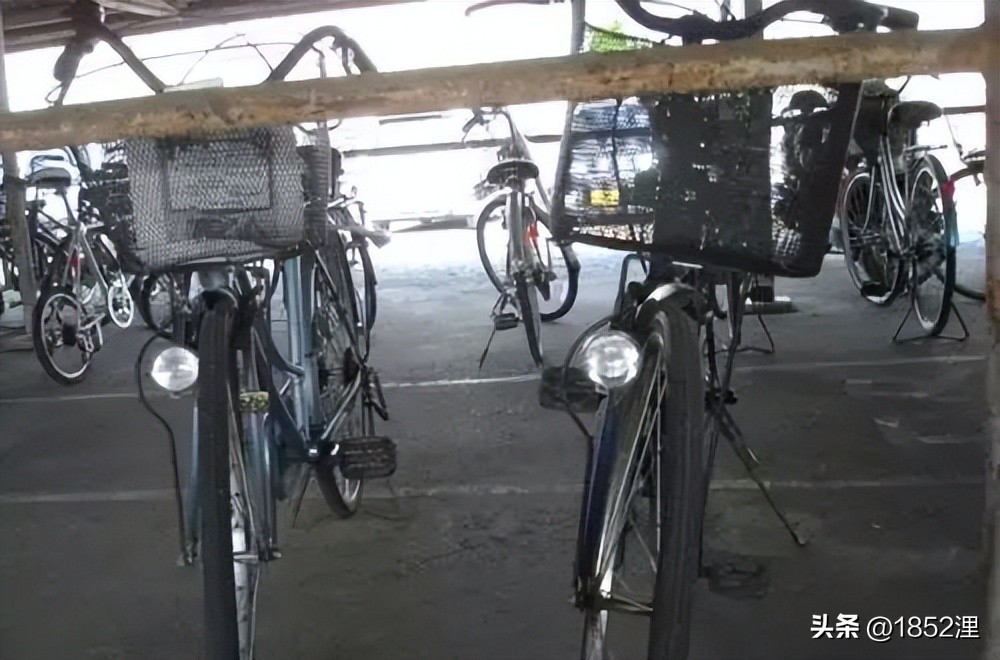 有什么是你来到上海后才意识到的,如果你去过日本你的感受是什么