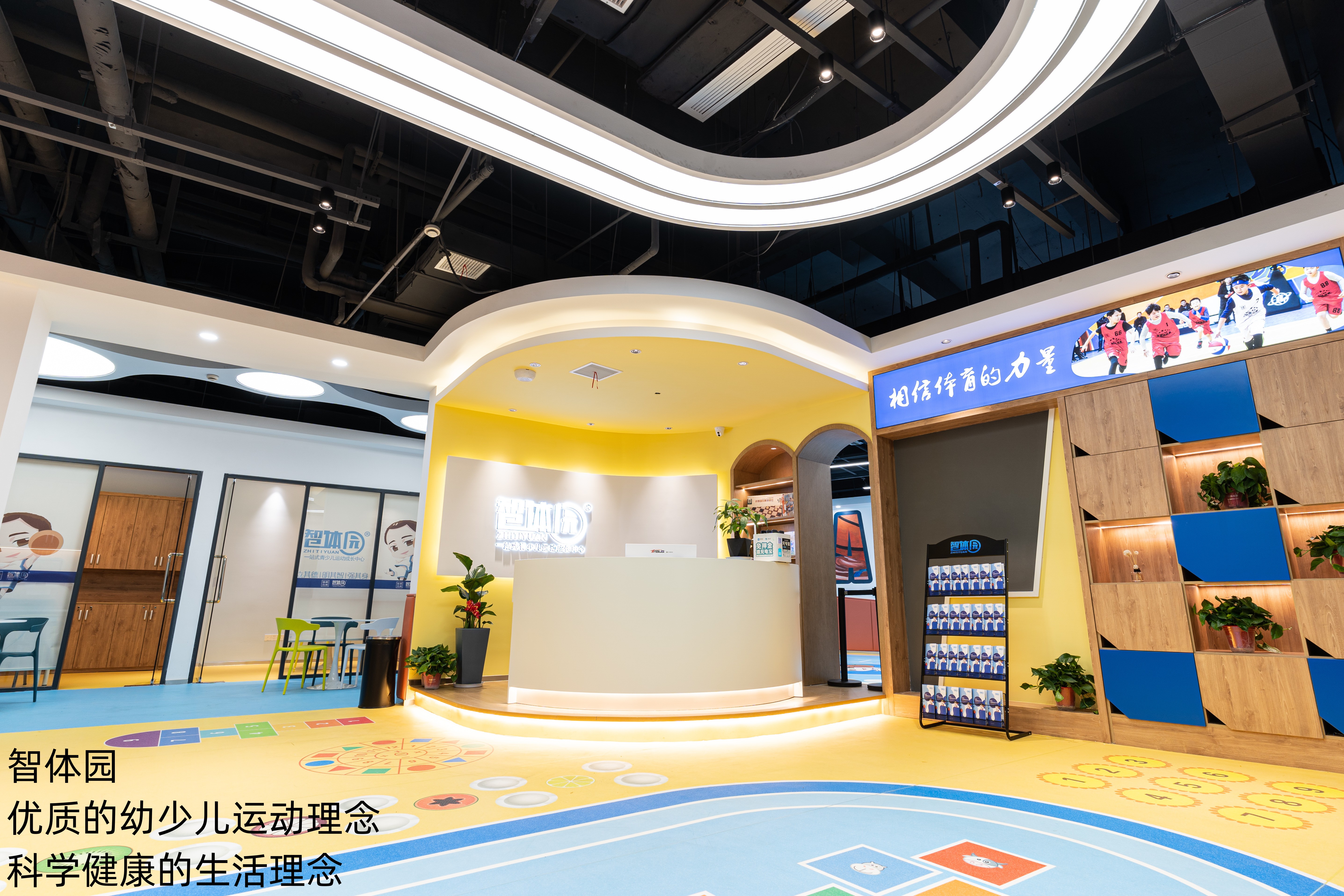 智体园:技巧和器材的使用规则