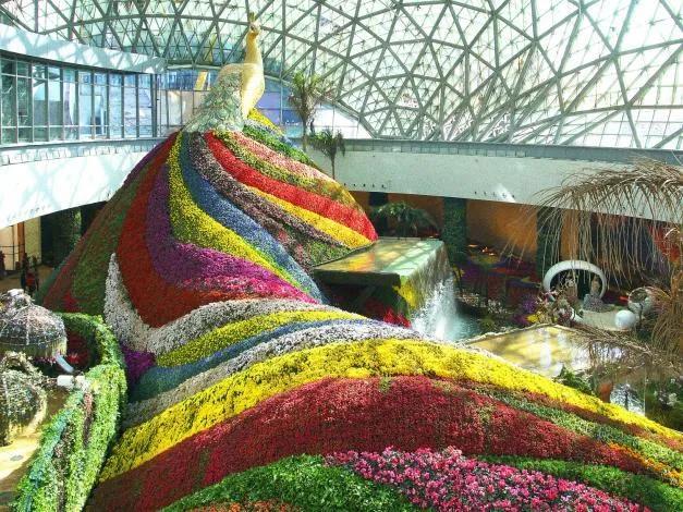 云南旅游这几个景点都是坑,没必要去,快来看,替你节省时间金钱