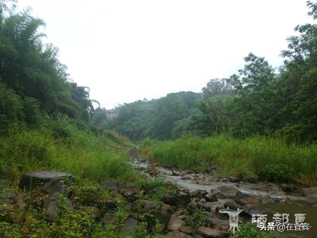 恐龙故乡黑龙江,四川的恐龙之乡