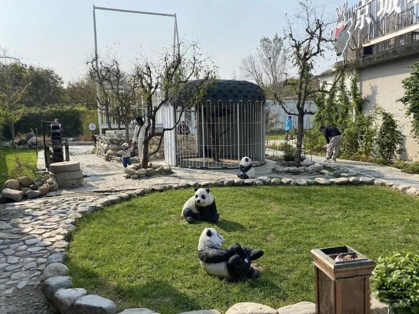 日流水20万，它在院里卖驴肉，小院餐饮正悄悄走火