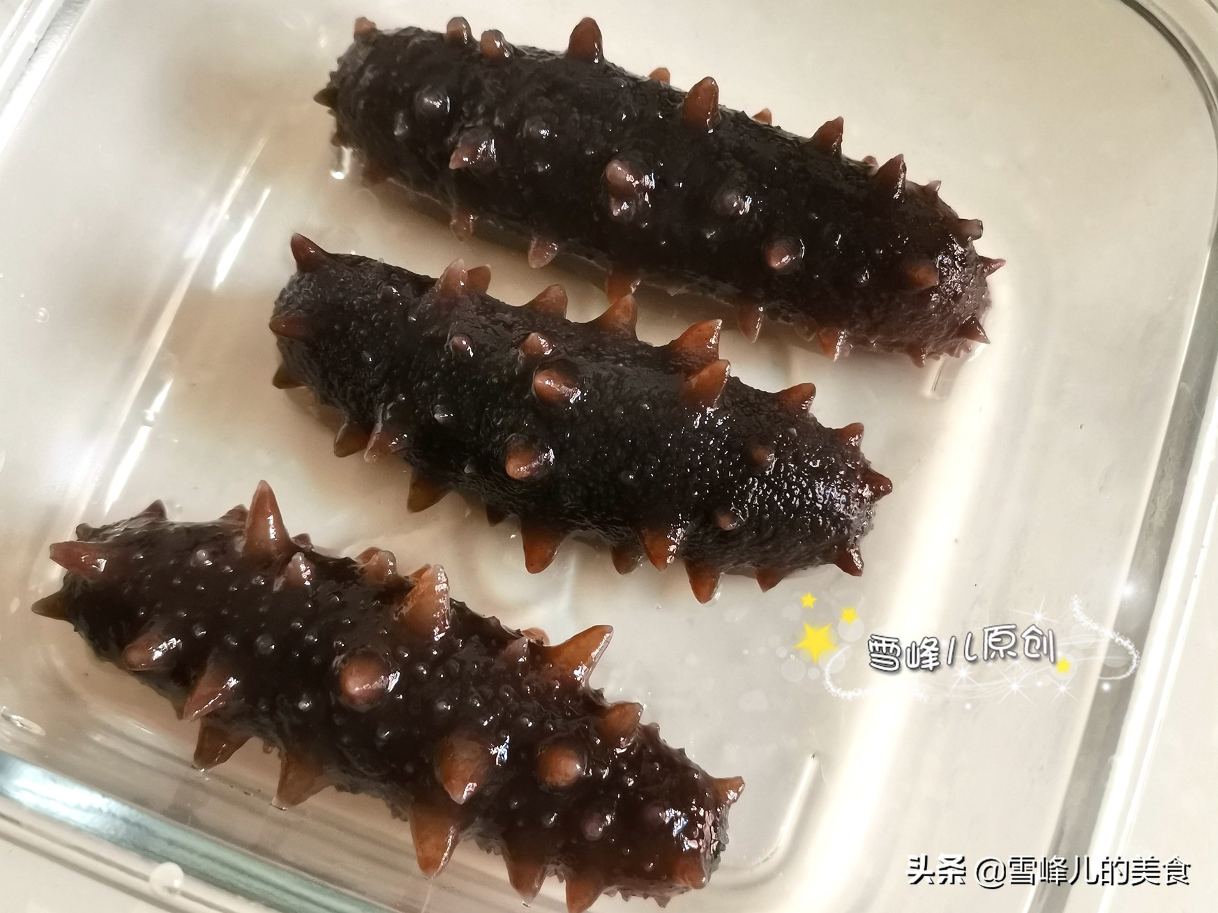 海参泡发的正确方法零基础上手,这才是海参泡发的正确方法