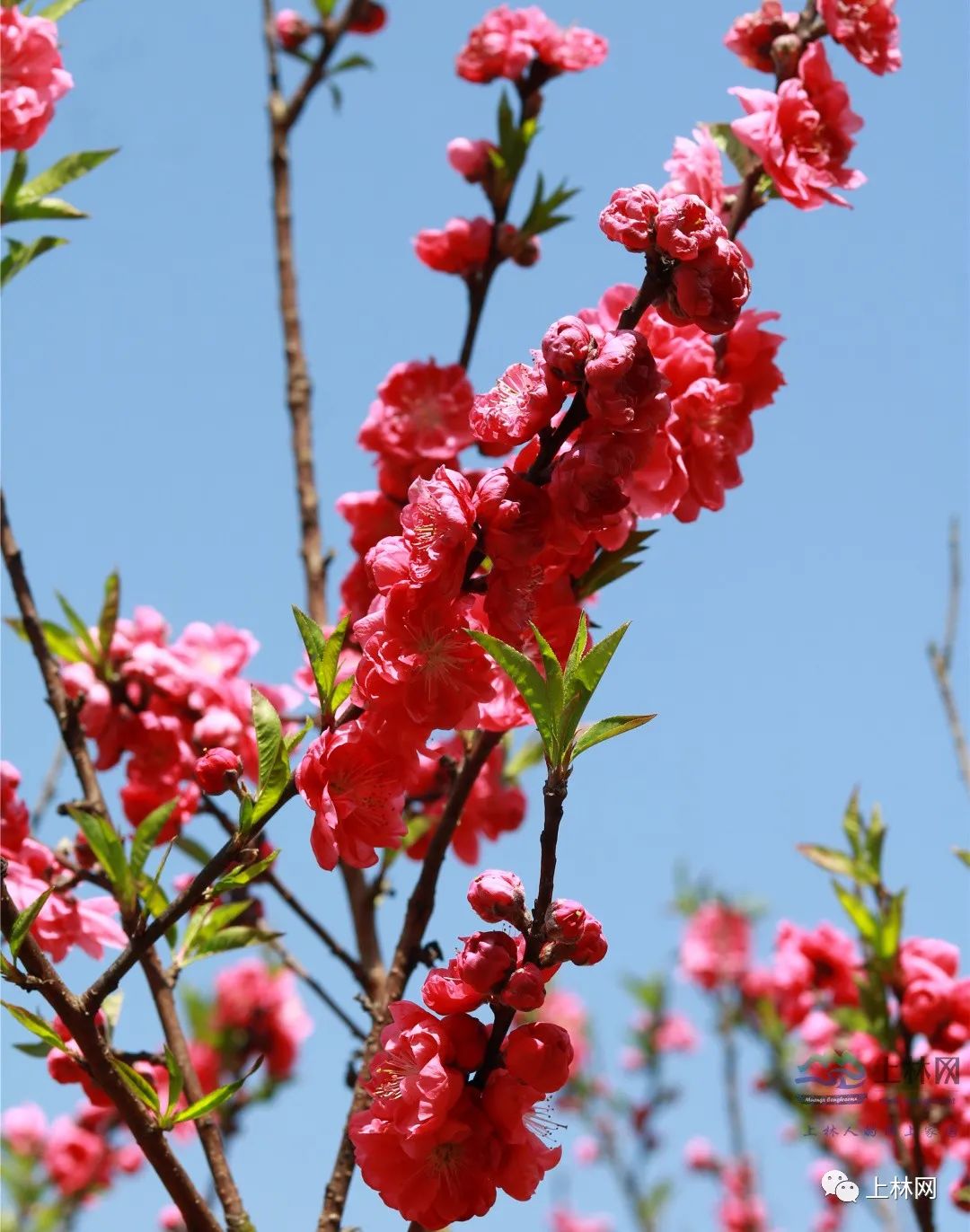 南宁徐霞客出游攻略,徐霞客在广西住了多少年