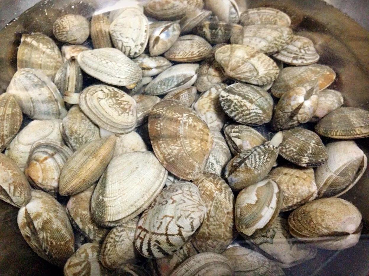 如何挑选冰冻好的小海鲜,最实用的各种海鲜做法都在这里啦