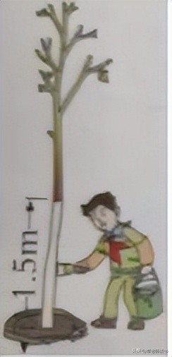 六年级下册数学圆柱的面积公式,数学六年级下册圆柱的体积补课