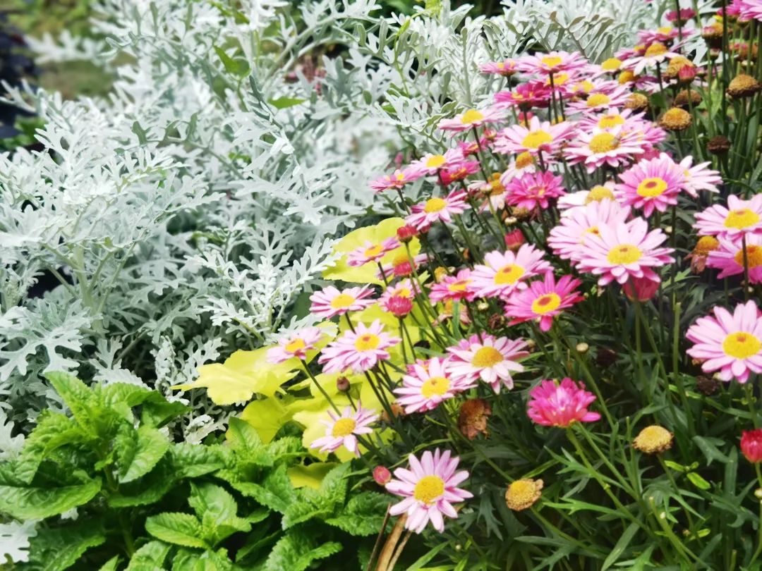 必去的花溪公园,假期余额不足游玩依旧火热