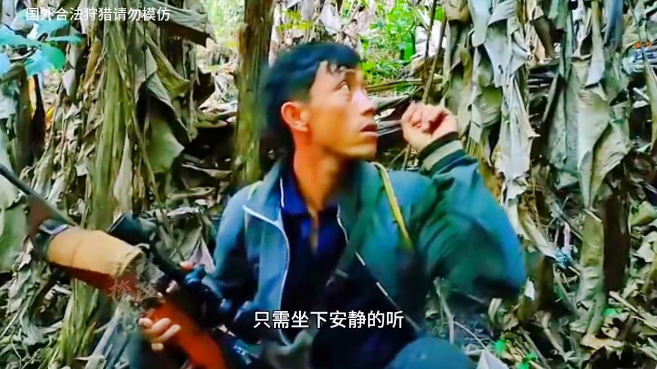 越南野鸡泛滥，只需晚上用套索套住脖颈就可捕获，一次三只