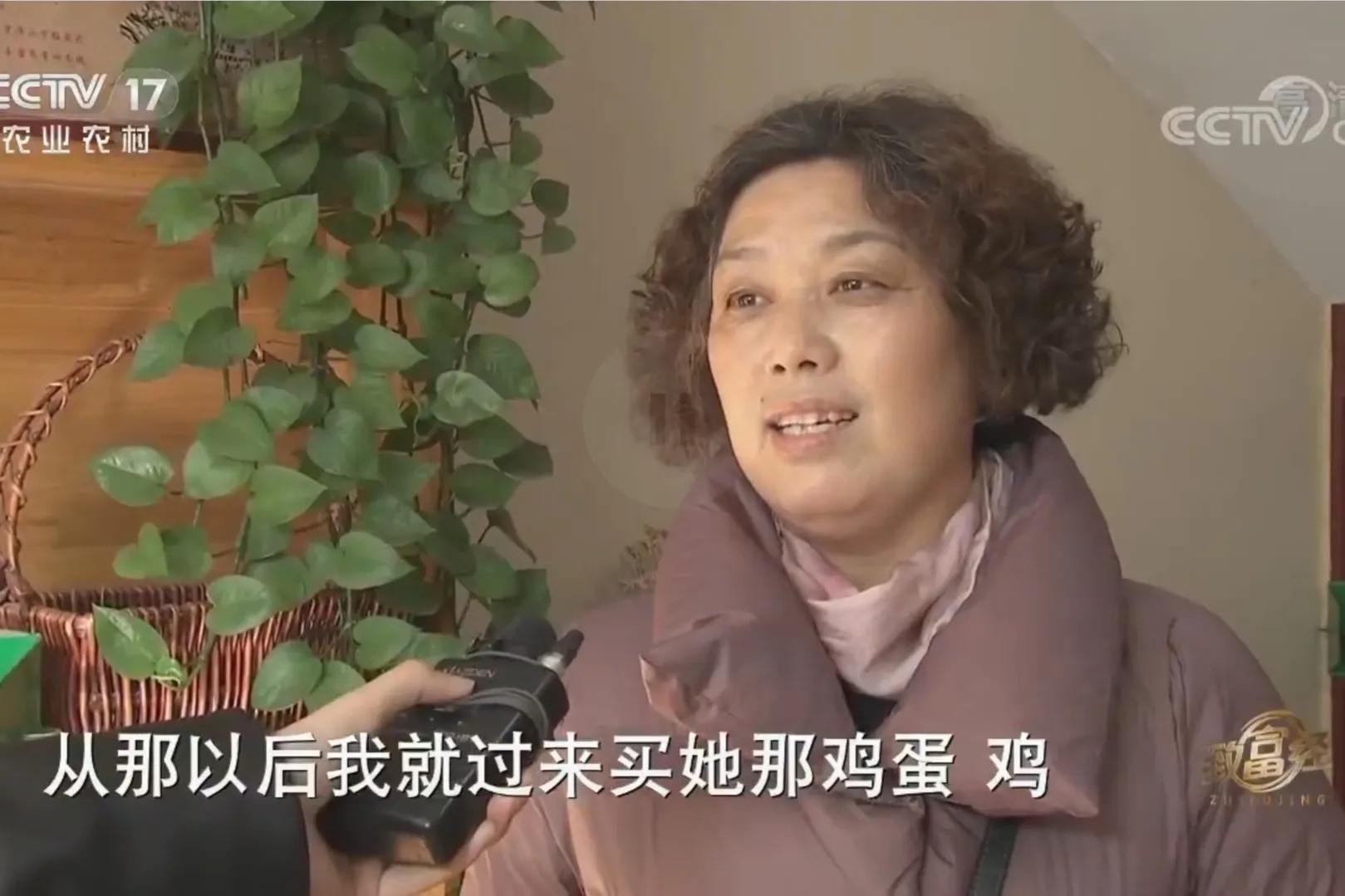 承包荒山致富的例子,美女承包52亩山地