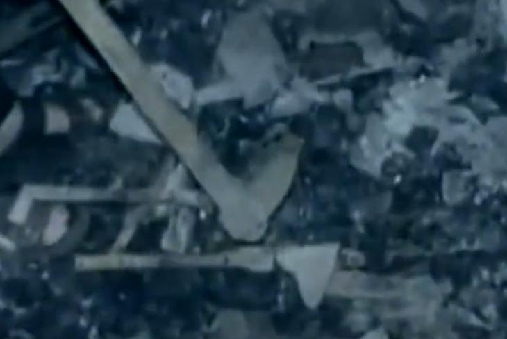 2011年单身岳母意外怀孕，后被掐死焚烧，女儿向犯人下跪表示感谢