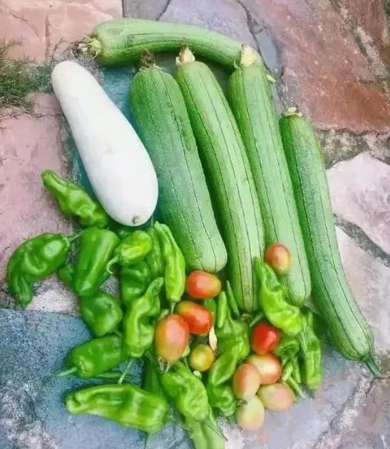 张馨予坎坷情史成功逆袭吴卓羲,吴卓羲张馨予挺般配的