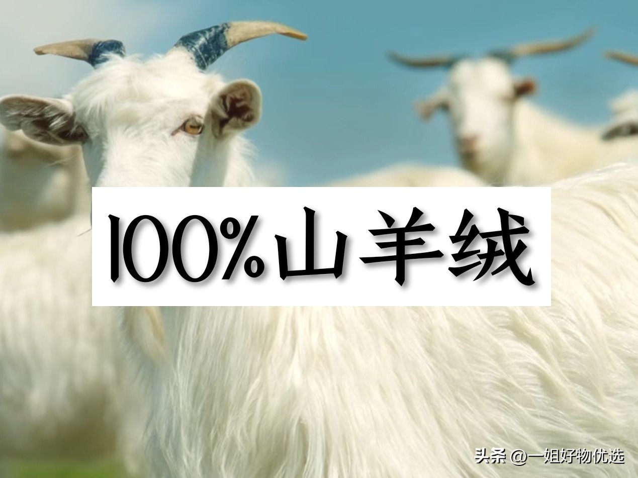 羊绒围巾多少钱一围,daks羊绒围巾一般多少钱一条