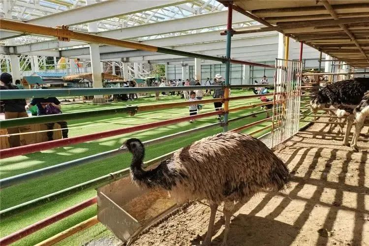 【FENG娱】王佐镇：娱乐+科普+自然，暑假解锁亲子出游新方式！