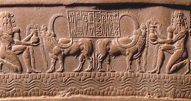 牛是人类最好的朋友,牛为什么是人类好朋友