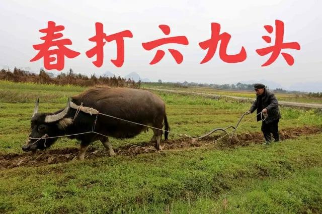 今天2022年数九第几九了,几九最冷2022年数九天时间表