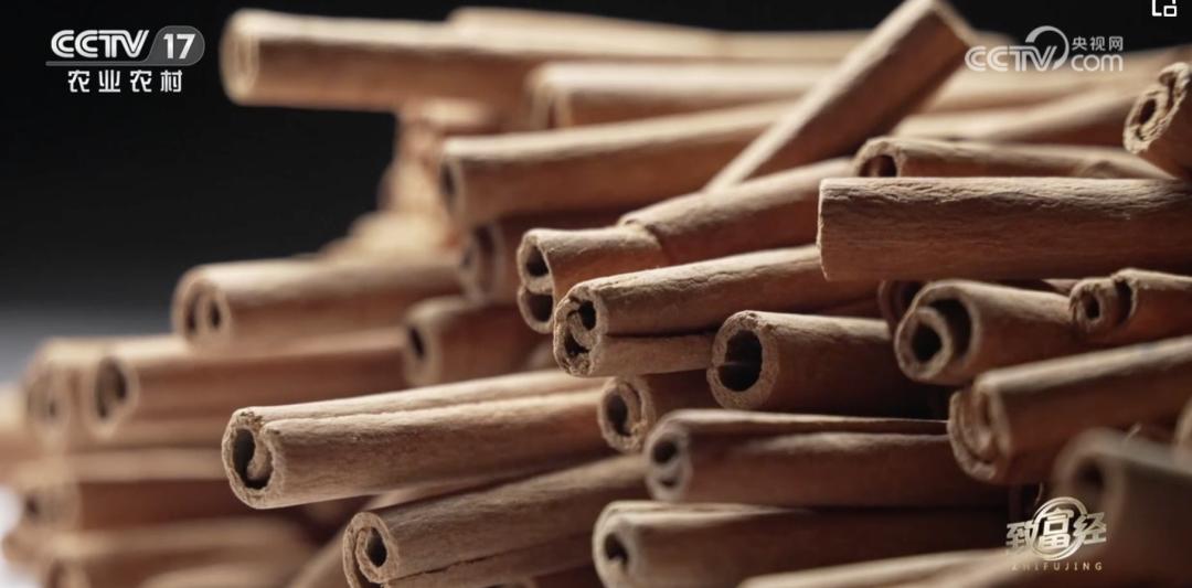 一根“树皮”引发的国际知名品牌