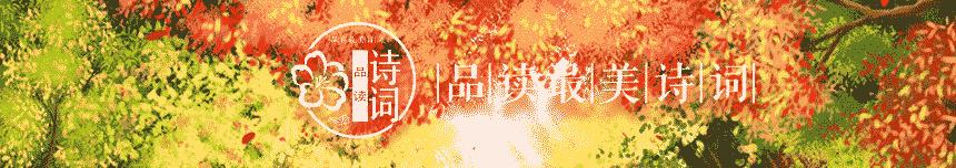 《月夜》古诗词鉴赏6篇,月夜的诗词有哪些表达了什么情感