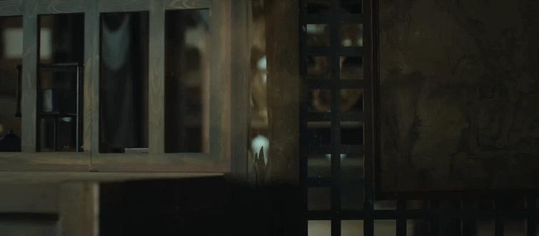 蹭ip电影东北,蹭ip的小视频