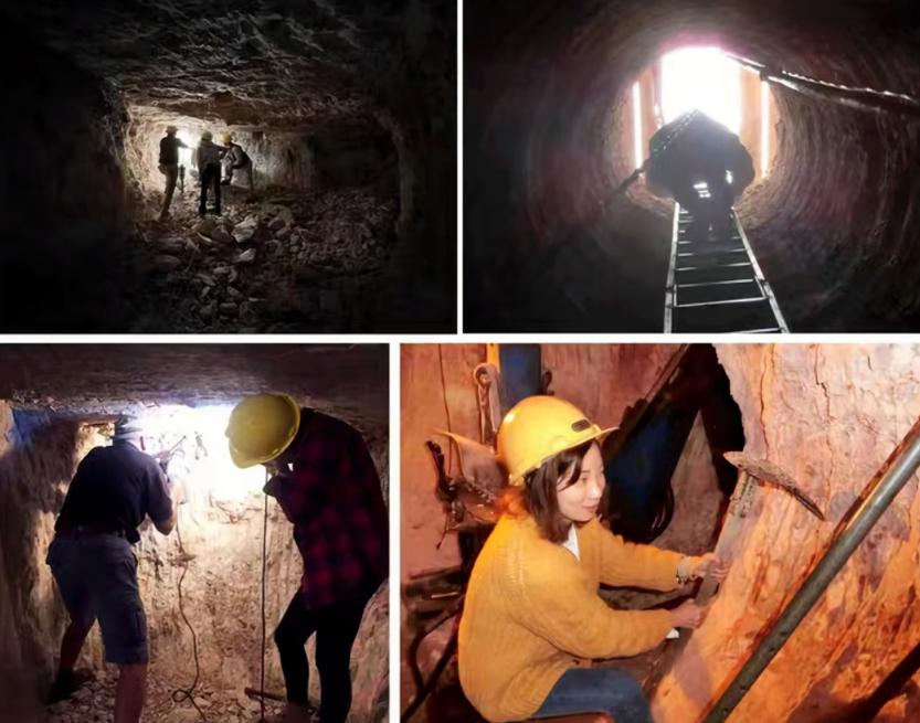 海淘产业未来发展趋势,海淘发展趋势