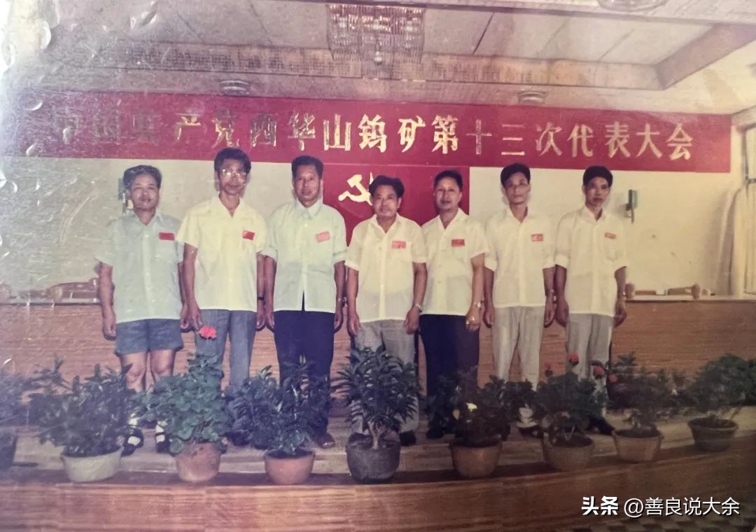 张世奇百福壶介绍,张世奇陈煊