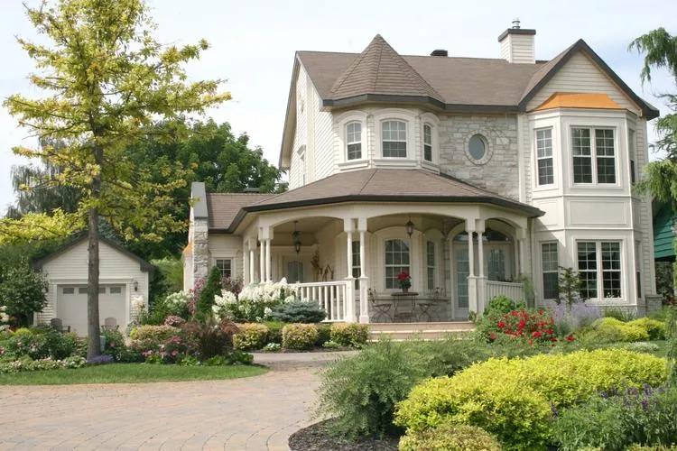 小贤江湖合集,小贤猛龙过江24