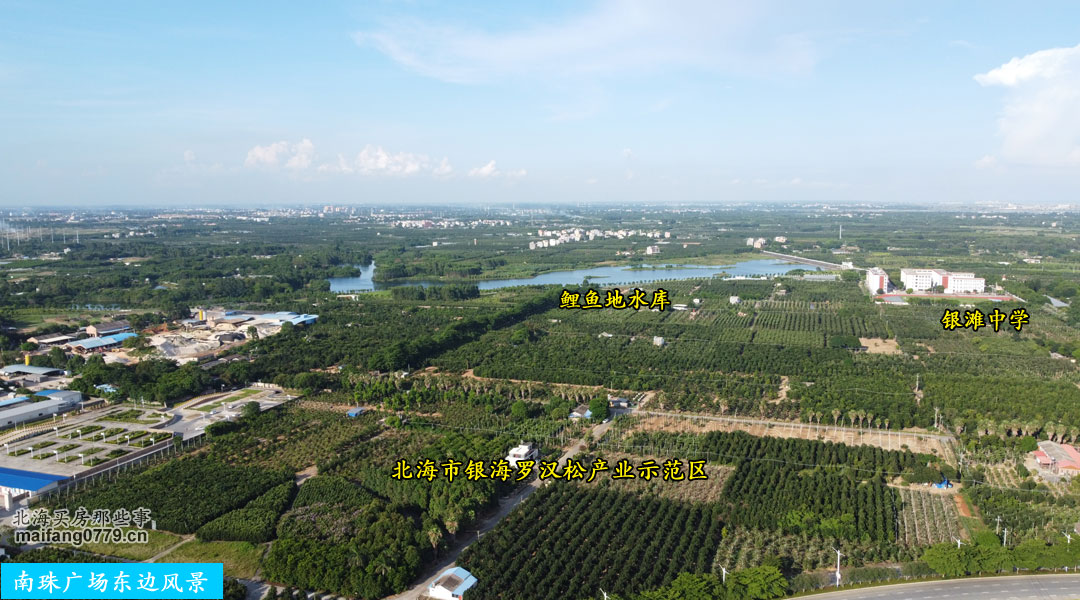 北海新世纪大道南延线最终规划图,2021北海要修通的道路有哪几条