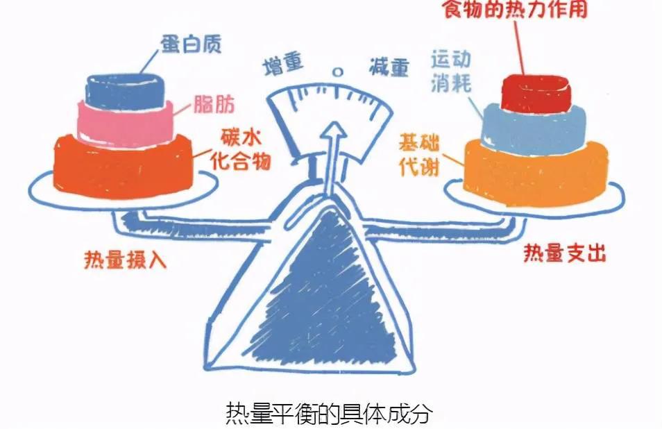 从饮食上怎样才能有效的减脂,在家怎么吃才可以减肥减脂