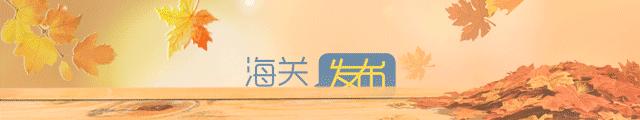 5000万套代购走私案告破海关发布,5000万走私案件告破