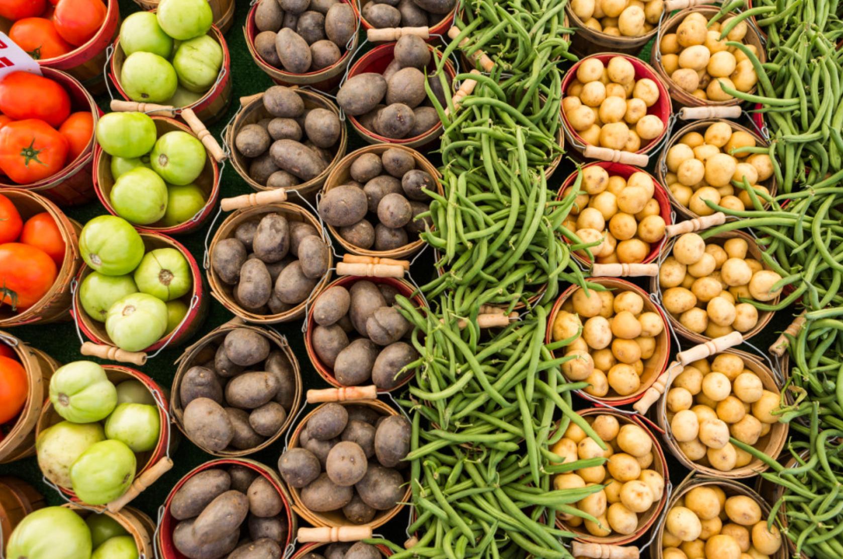 广西农投生态循环农业投资,广西农投农业发展有限公司