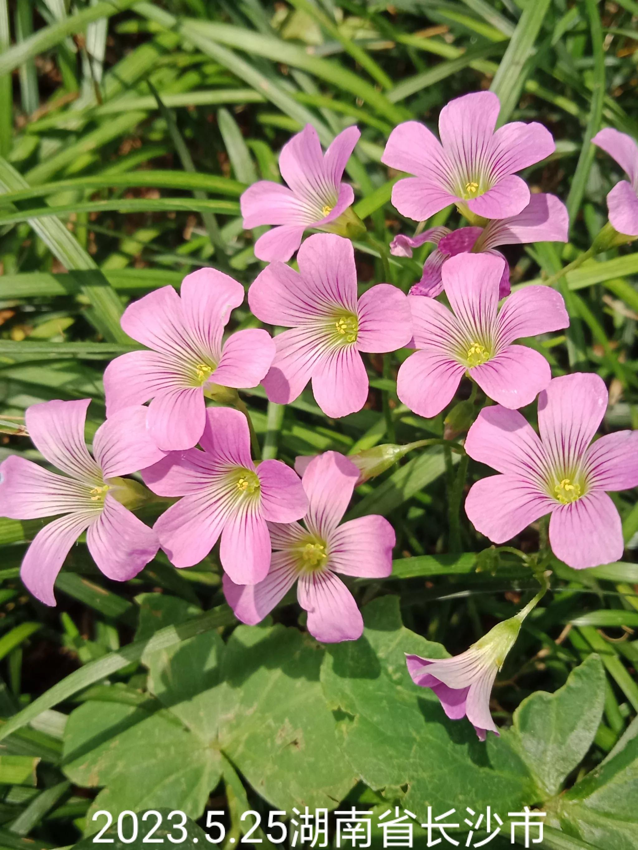 微信群忘保存找不到怎么办,怎么保存微信群里面的人