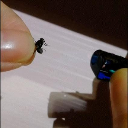 现在女大学生太开放,这么隐私的东西露在外面,男人看了都脸红了