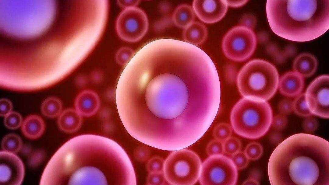 进入女性体内后,结合失败的精子都去哪里了?答案既心疼又好笑