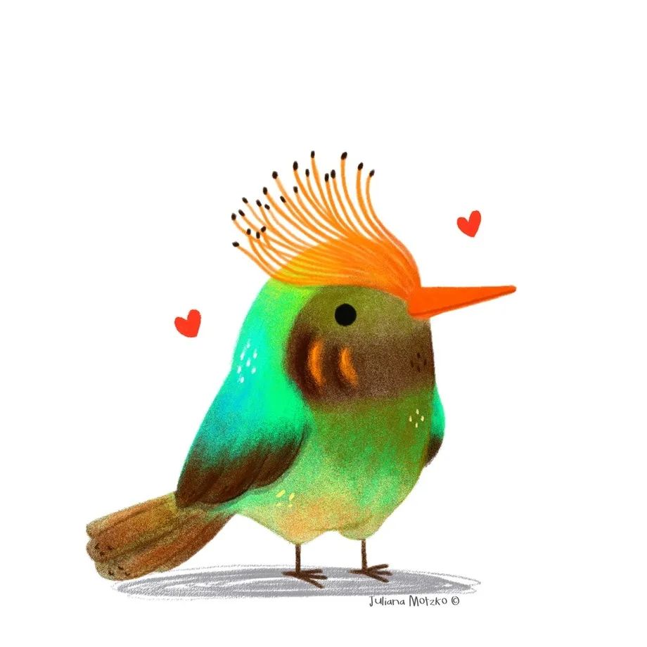 鸟类插画大全,鸟类插画艺术欣赏