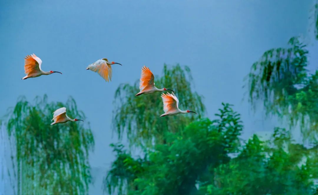 人这一辈子一定要去一趟汉中,人这一辈子一定要去趟旅行