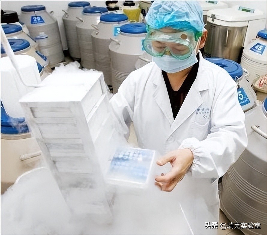 日本最强“配种王”一年捐精百次：日本为了“小蝌蚪”有多疯狂？