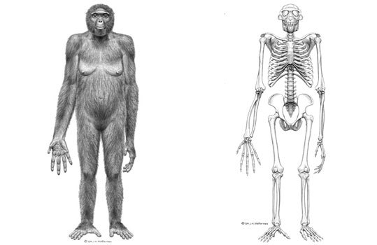 足球起源于中国世界各国认可吗,足球起源于1930年用英语怎么说