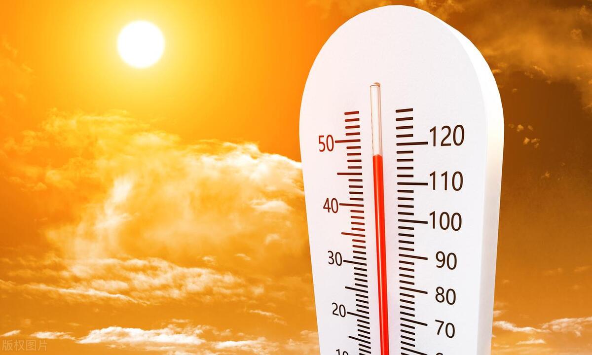 三伏天吃什么参养生,三伏天吃什么润肺